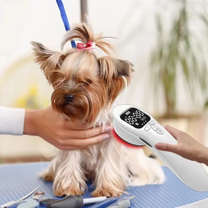 laser treatment for canine arthritis1