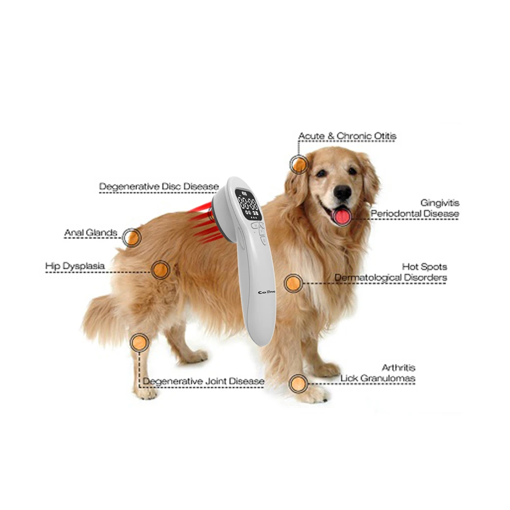 dog cold laser