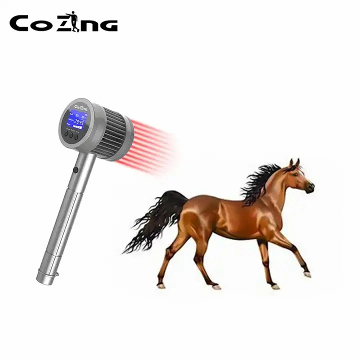canine cold laser therapy1