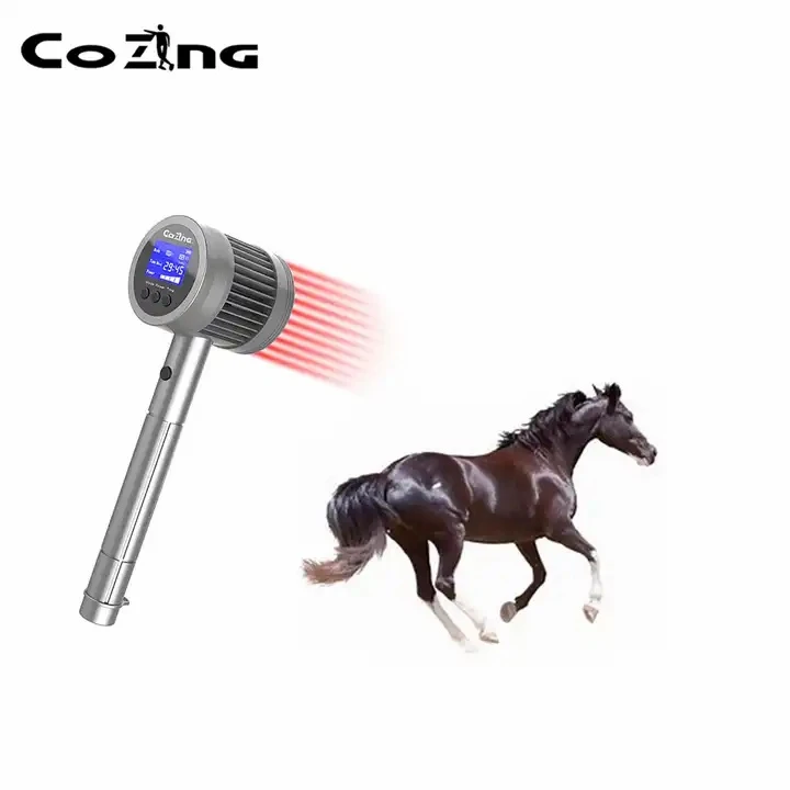 equine laser therapy1